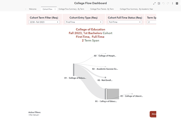 College Flow Dashboard dashboard preview