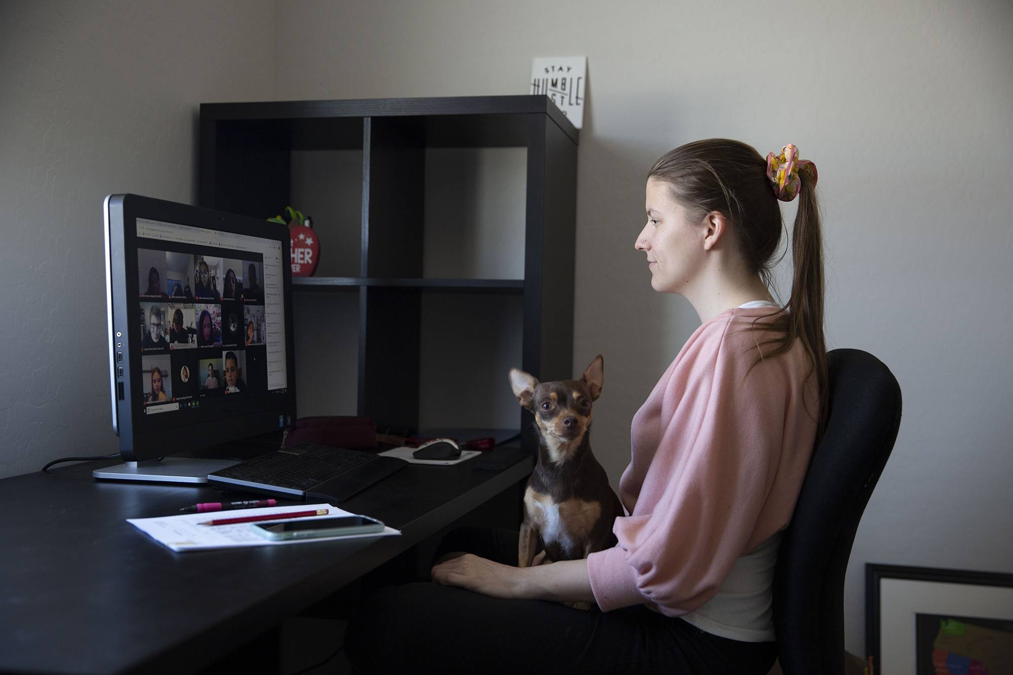 An employee with a small dog on her lap looks at her remote workstation.