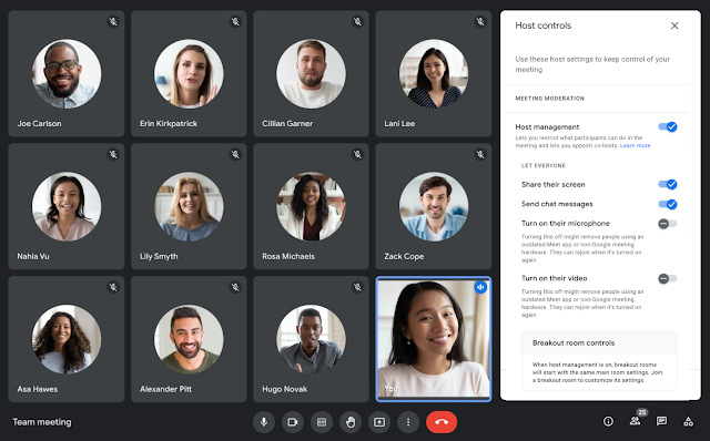 Screenshot of a Google Meet meeting