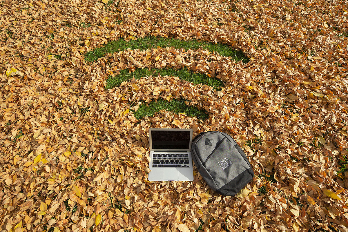 A pile of leaves with a wi-fi symbol, a laptop, and book bag.