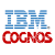 Cognos Insight logo
